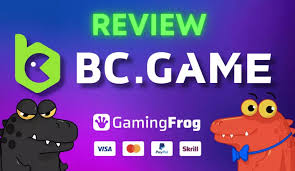 Ultimate Guide to BC Fun Top Mirror Ultimate Guide to BC Fun Top Mirror
