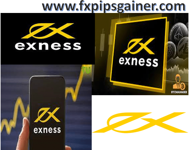 Understanding the Secure Exness Platform Understanding the Secure Exness Platform